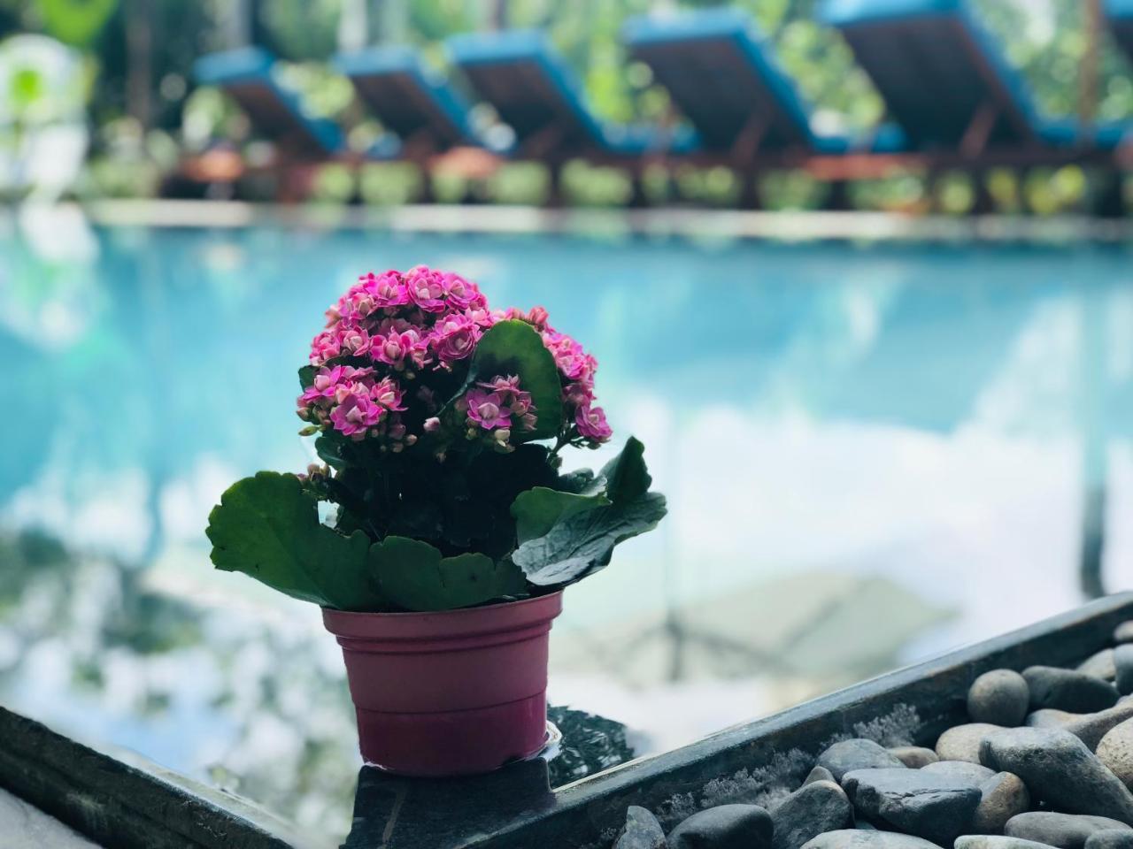 Hoi An Silverbell Villa 외부 사진